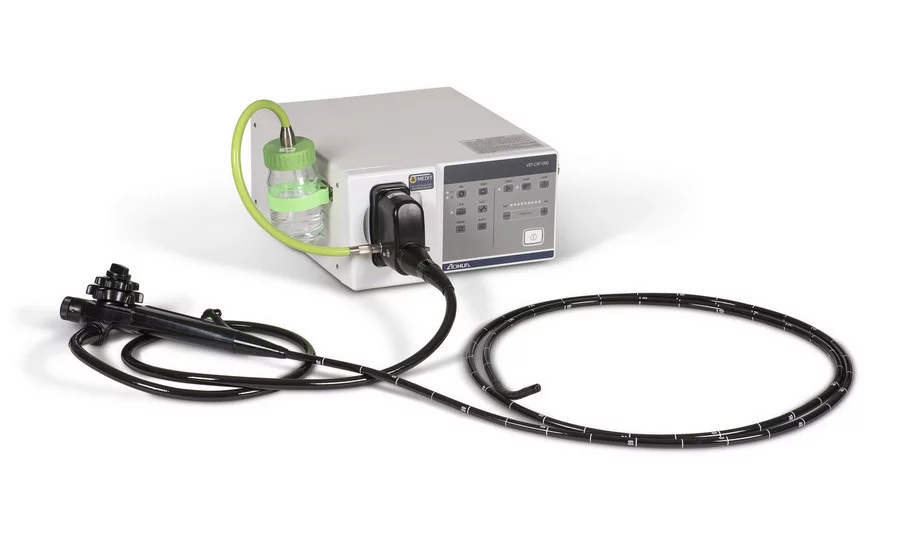 Rigid otoscope - Integrated working channel - Endoscopy - Fiberscopy,  Veterinary Equipment